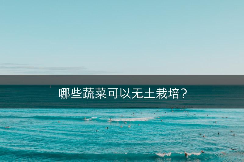 哪些蔬菜可以无土栽培？(图1)