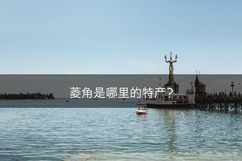 菱角是哪里的特产？(图1)