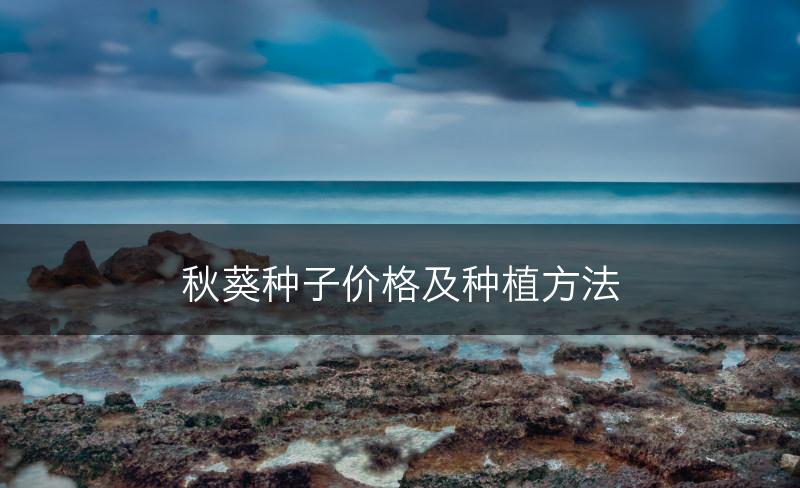 秋葵种子价格及种植方法(图1)
