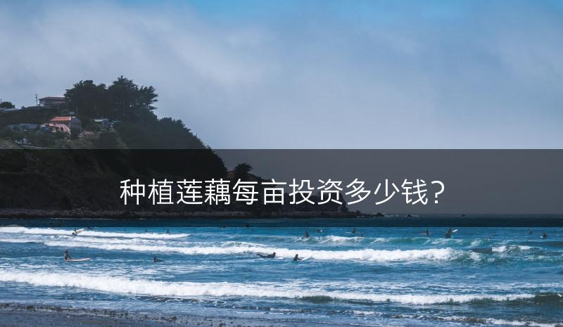 种植莲藕每亩投资多少钱？(图1)