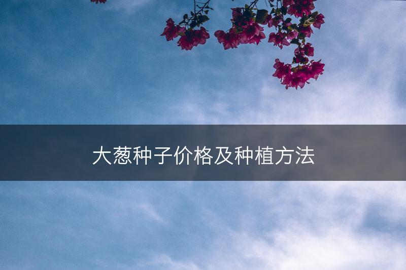 大葱种子价格及种植方法(图1) 大葱种子价格及种植方法(图1)