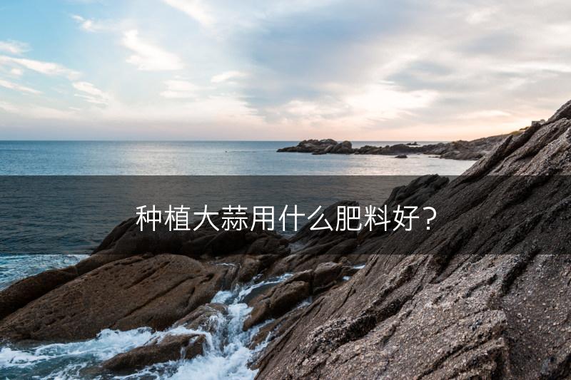 种植大蒜用什么肥料好?(图1) 种植大蒜用什么肥料好?(图1)