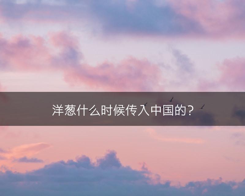 洋葱什么时候传入中国的？(图1)