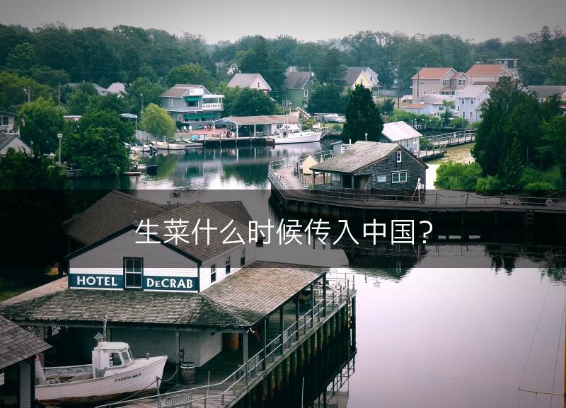 生菜什么时候传入中国?(图1) 生菜什么时候传入中国?(图1)