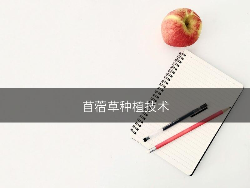 苜蓿草种植技术(图1) 苜蓿草种植技术(图1)