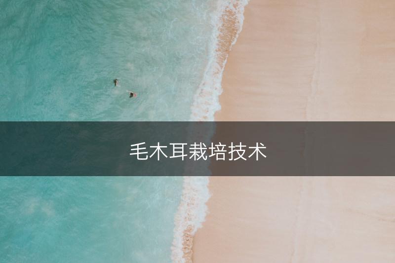 毛木耳栽培技术(图1)