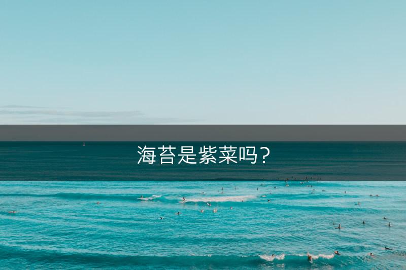 海苔是紫菜吗？(图1)
