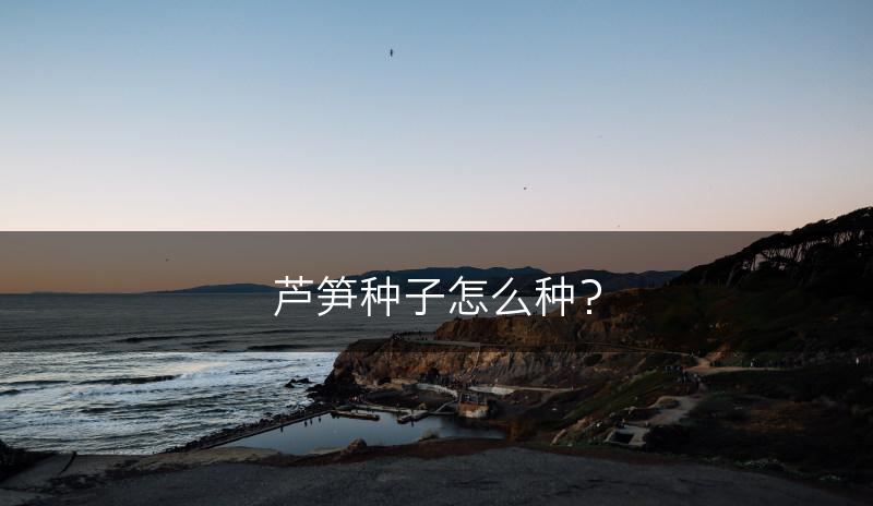 芦笋种子怎么种？(图1)