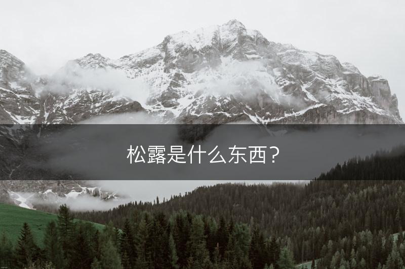 松露是什么东西？(图1)