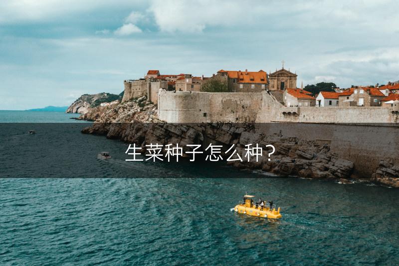 生菜种子怎么种？(图1)