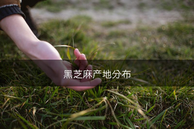 黑芝麻产地分布(图1) 黑芝麻产地分布(图1)