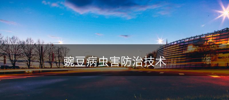 豌豆病虫害防治技术(图1)