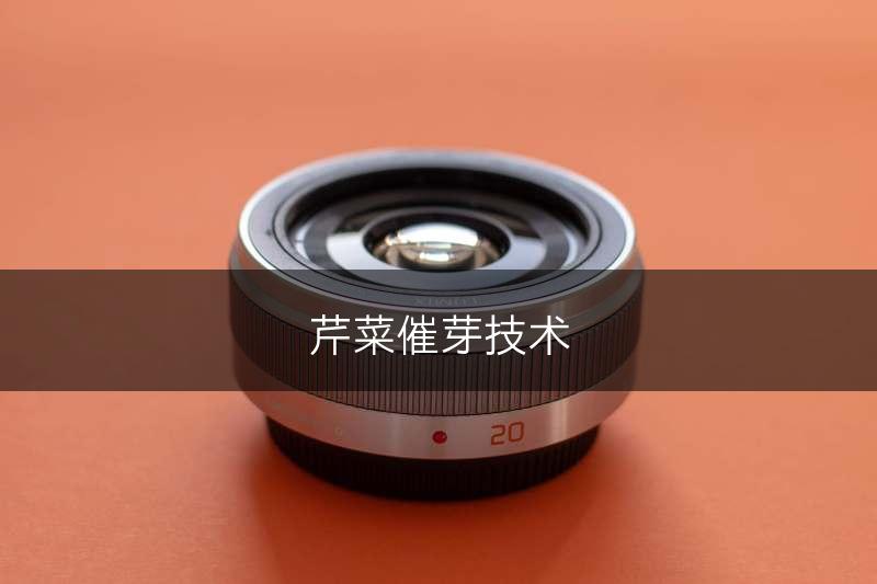芹菜催芽技术(图1)