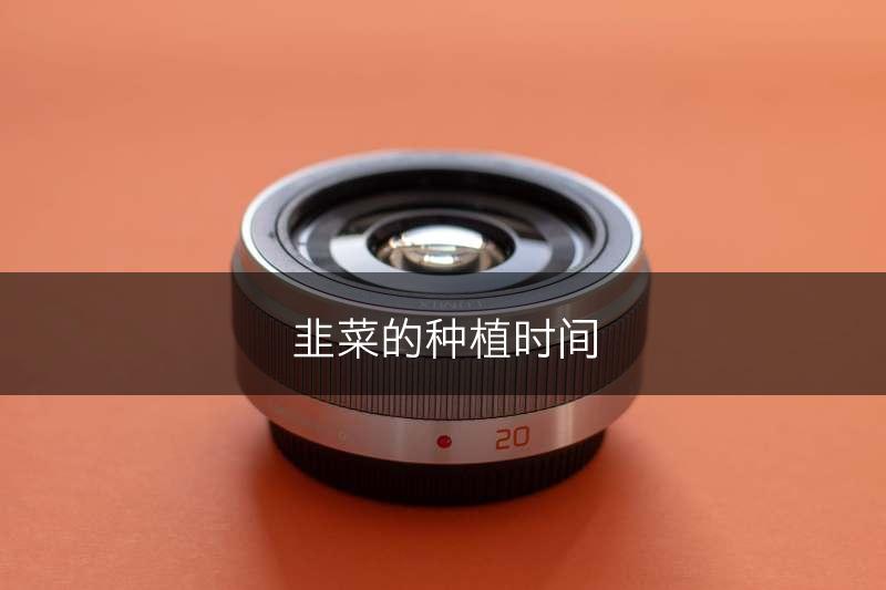 韭菜的种植时间(图1)
