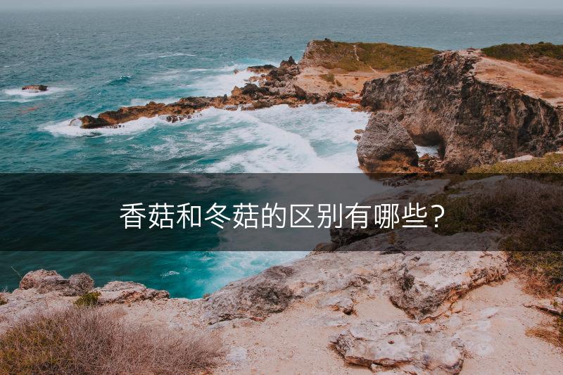 香菇和冬菇的区别有哪些?(图1) 香菇和冬菇的区别有哪些?(图1)