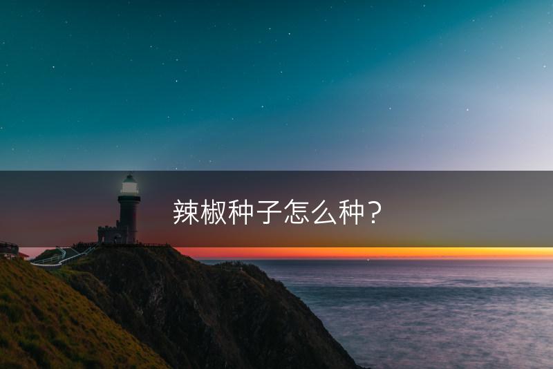 辣椒种子怎么种？(图1)
