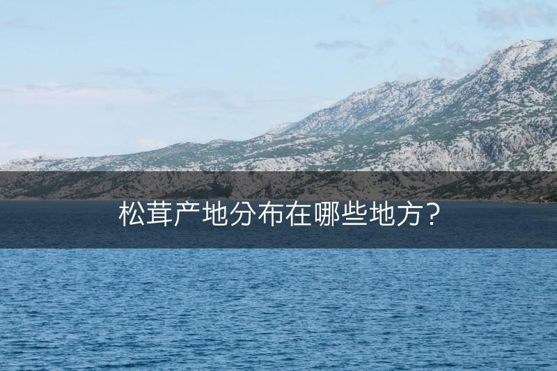 松茸产地分布在哪些地方？(图1)