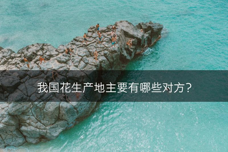 我国花生产地主要有哪些对方?(图1) 我国花生产地主要有哪些对方?(图1)