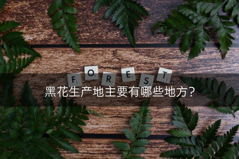 黑花生产地主要有哪些地方?(图1) 黑花生产地主要有哪些地方?(图1)