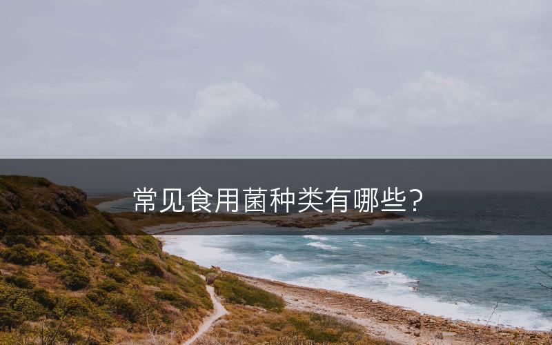 常见食用菌种类有哪些?(图1) 常见食用菌种类有哪些?(图1)