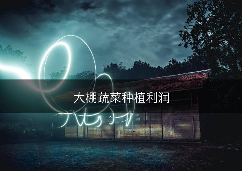 大棚蔬菜种植利润(图1) 大棚蔬菜种植利润(图1)