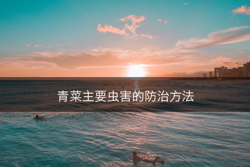 青菜主要虫害的防治方法(图1) 青菜主要虫害的防治方法(图1)