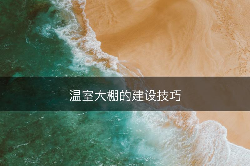 温室大棚的建设技巧(图1) 温室大棚的建设技巧(图1)