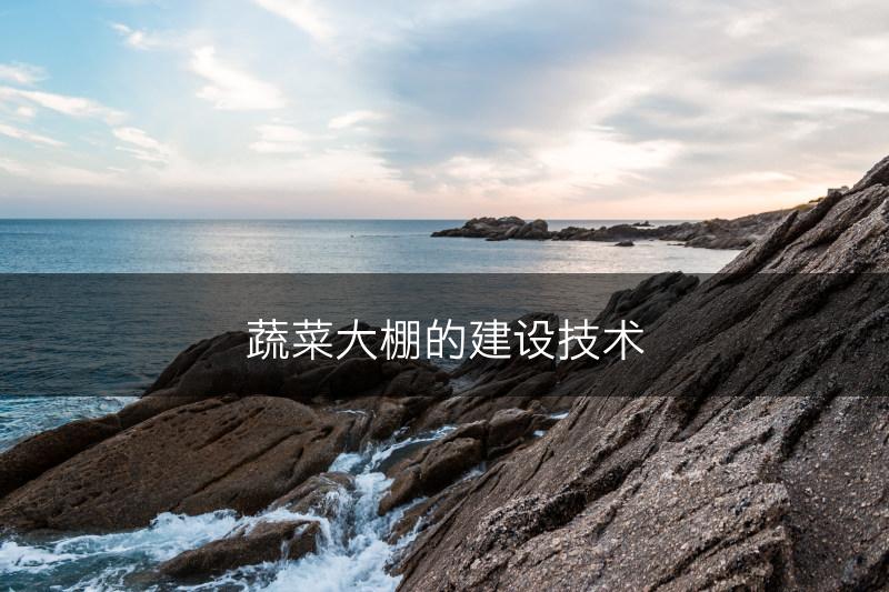 蔬菜大棚的建设技术(图1) 蔬菜大棚的建设技术(图1)