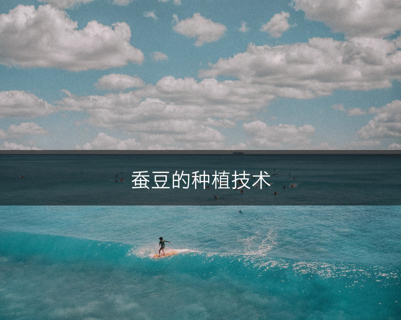 蚕豆的种植技术(图1) 蚕豆的种植技术(图1)