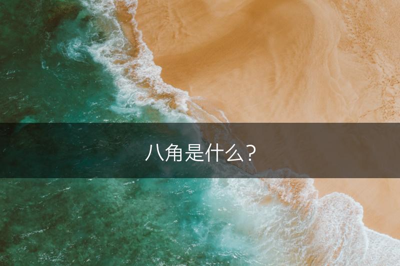 八角是什么?(图1) 八角是什么?(图1)