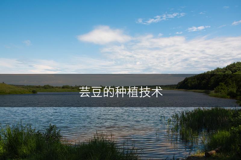 芸豆的种植技术(图1) 芸豆的种植技术(图1)