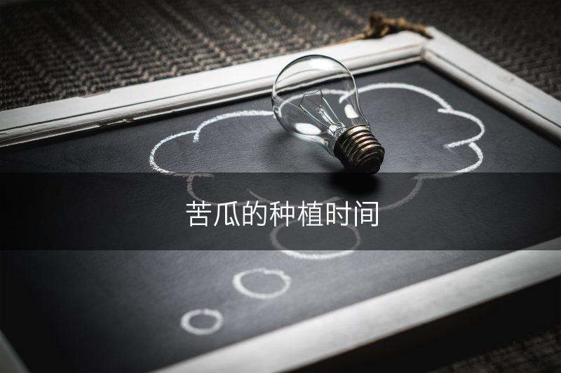 苦瓜的种植时间(图1) 苦瓜的种植时间(图1)