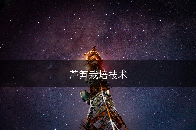 芦笋栽培技术(图1)