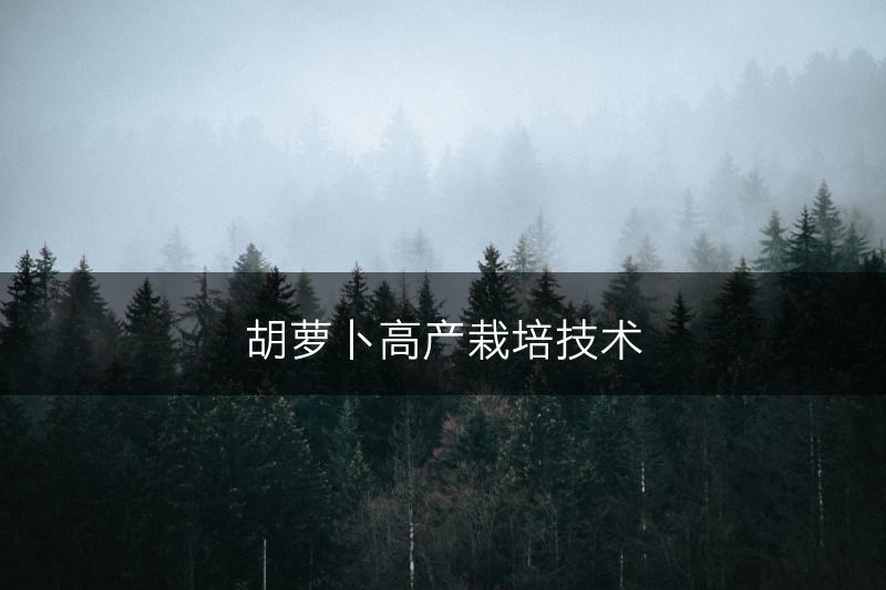 胡萝卜高产栽培技术(图1)