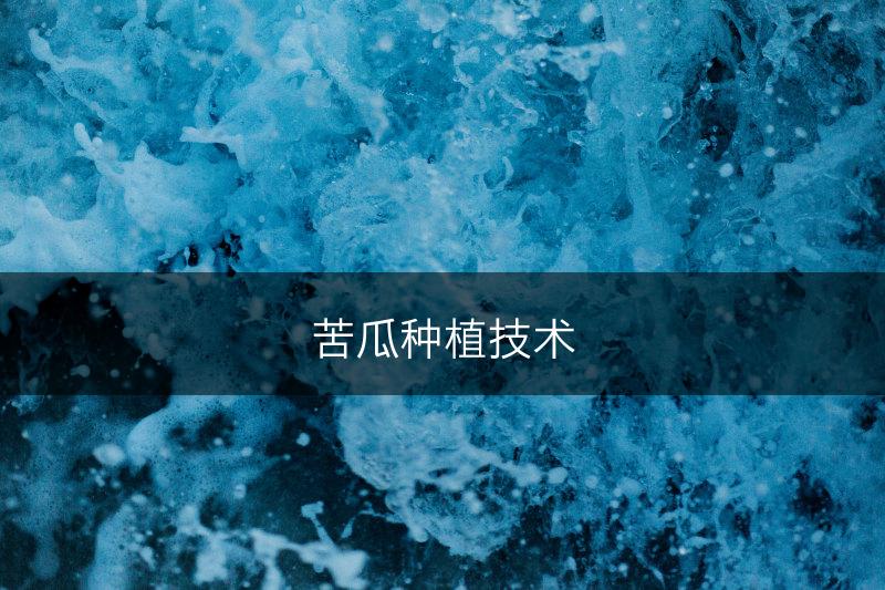 苦瓜种植技术(图1) 苦瓜种植技术(图1)