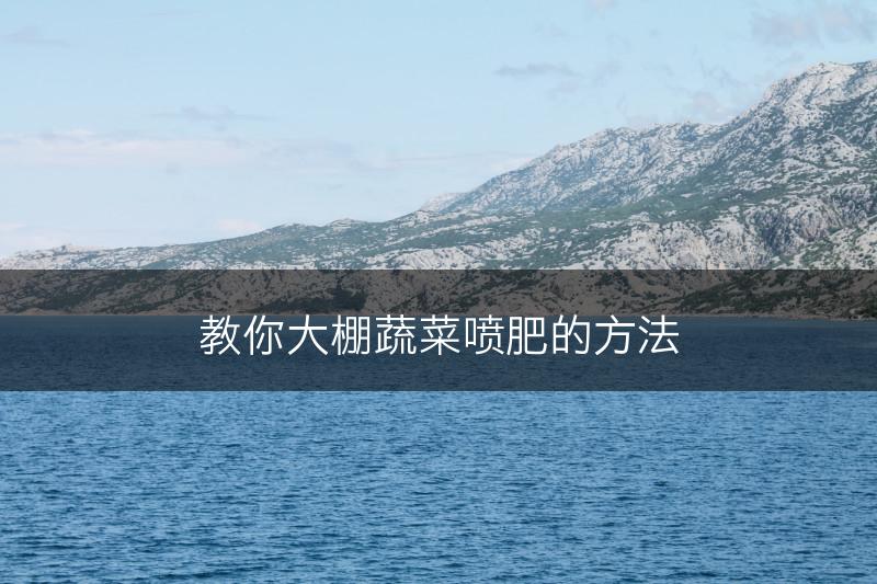 教你大棚蔬菜喷肥的方法(图1)