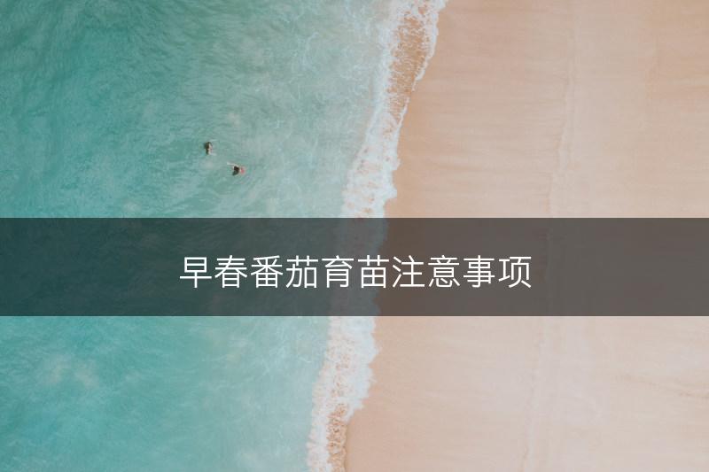 早春番茄育苗注意事项(图1) 早春番茄育苗注意事项(图1)