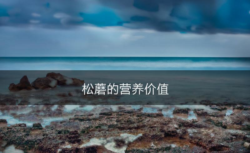 松蘑的营养价值(图1)