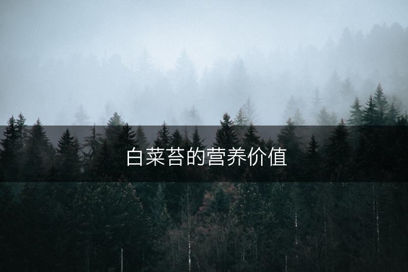 白菜苔的营养价值(图1)