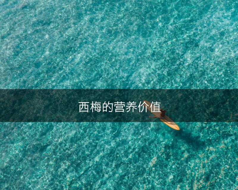 西梅的营养价值(图1)